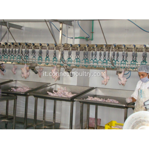 pesatura Sistema di classificazione per attrezzature per la lavorazione del pollame